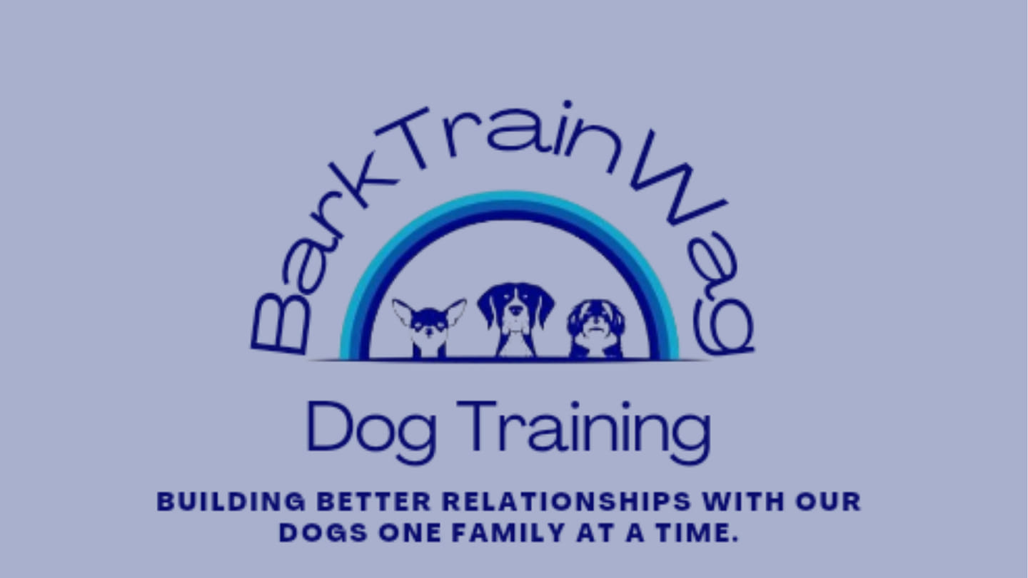 Bark Train Wag Dog Training